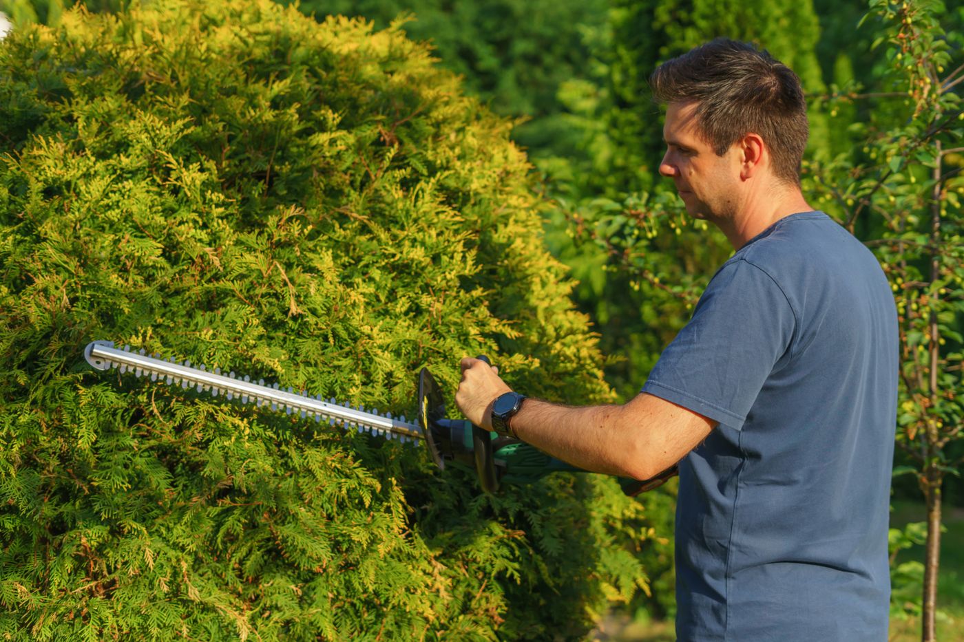 Landscaping professionals at work